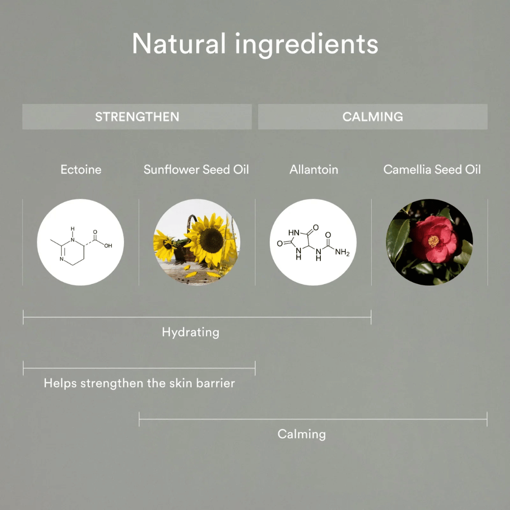 Billedet viser naturlige ingredienser, der styrker og beroliger huden: Ectoin og solsikkefrøolie hjælper med at fugte og styrke hudbarrieren, mens allantoin og kameliafrøolie beroliger og beskytter følsom hud.