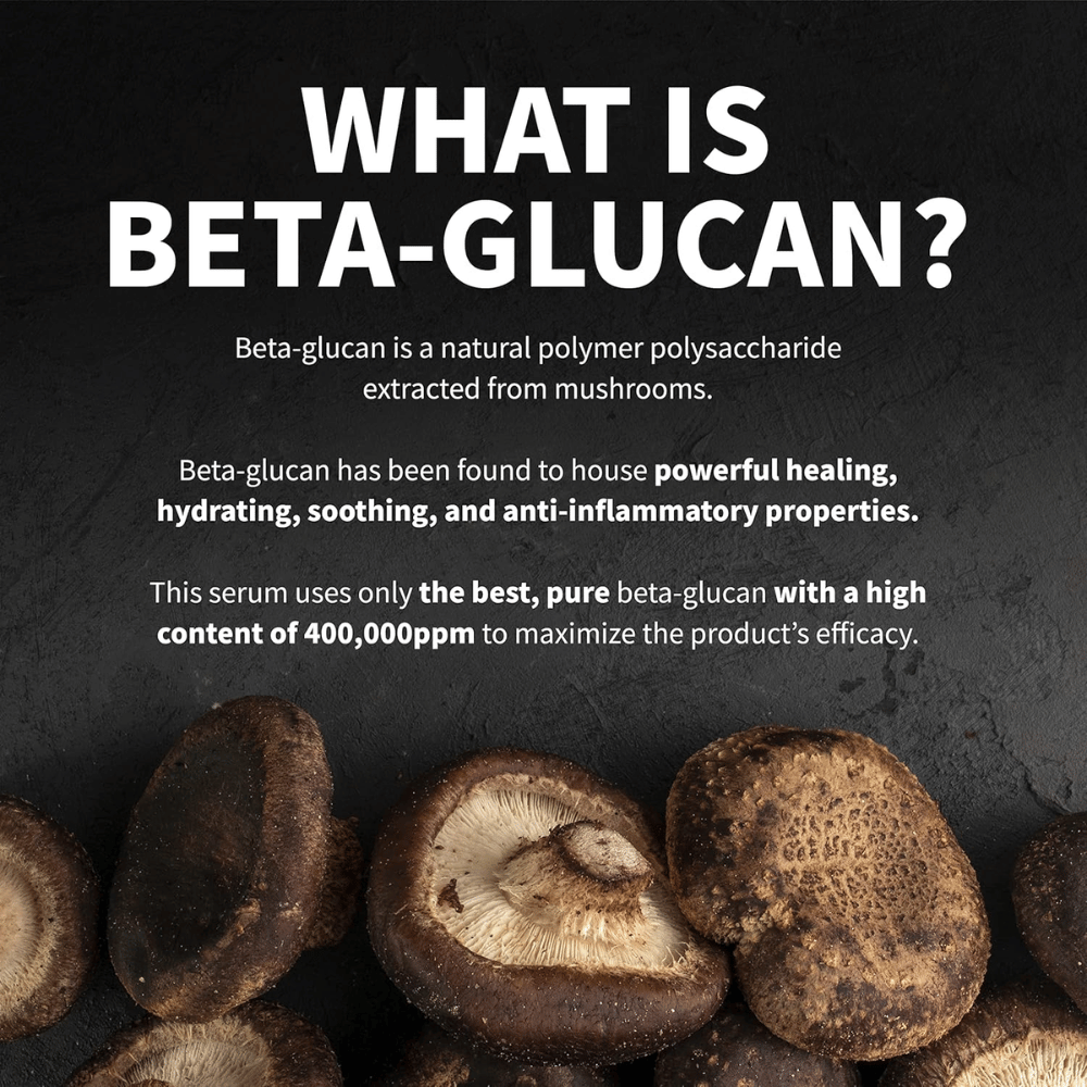 Informationsbillede, der forklarer, hvad beta-glucan er. Billedet viser svampe som råvarekilde og beskriver beta-glucan som en ingrediens med fugtgivende, beroligende og hudplejende egenskaber.