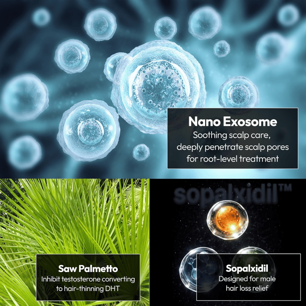 Illustration af produktets nøgleingredienser, herunder nanoeksosomer, saw palmetto og Sopalxidil™. Ingredienserne fremhæves for at understøtte hovedbundspleje, mindske DHT-relateret hårtab og styrke hårets forudsætninger.