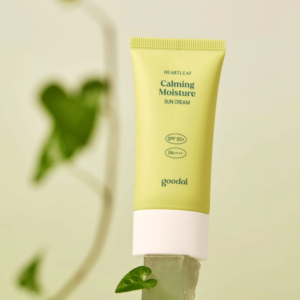 Goodal Heartleaf Calming Moisture Sun Cream SPF50+ PA++++ placeret på en glasplade med grøn plante i baggrunden – en beroligende solcreme til følsom hud.