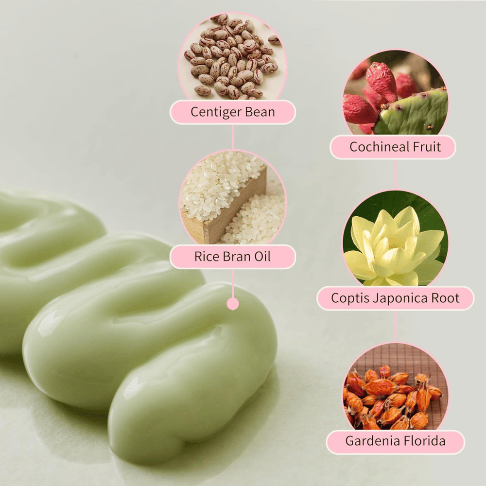 Beauty of Joseon Jello Skin Massage Cream med niacinamid, risklidolie, gardenia, coptis japonica og planteekstrakt til fugtet hud.