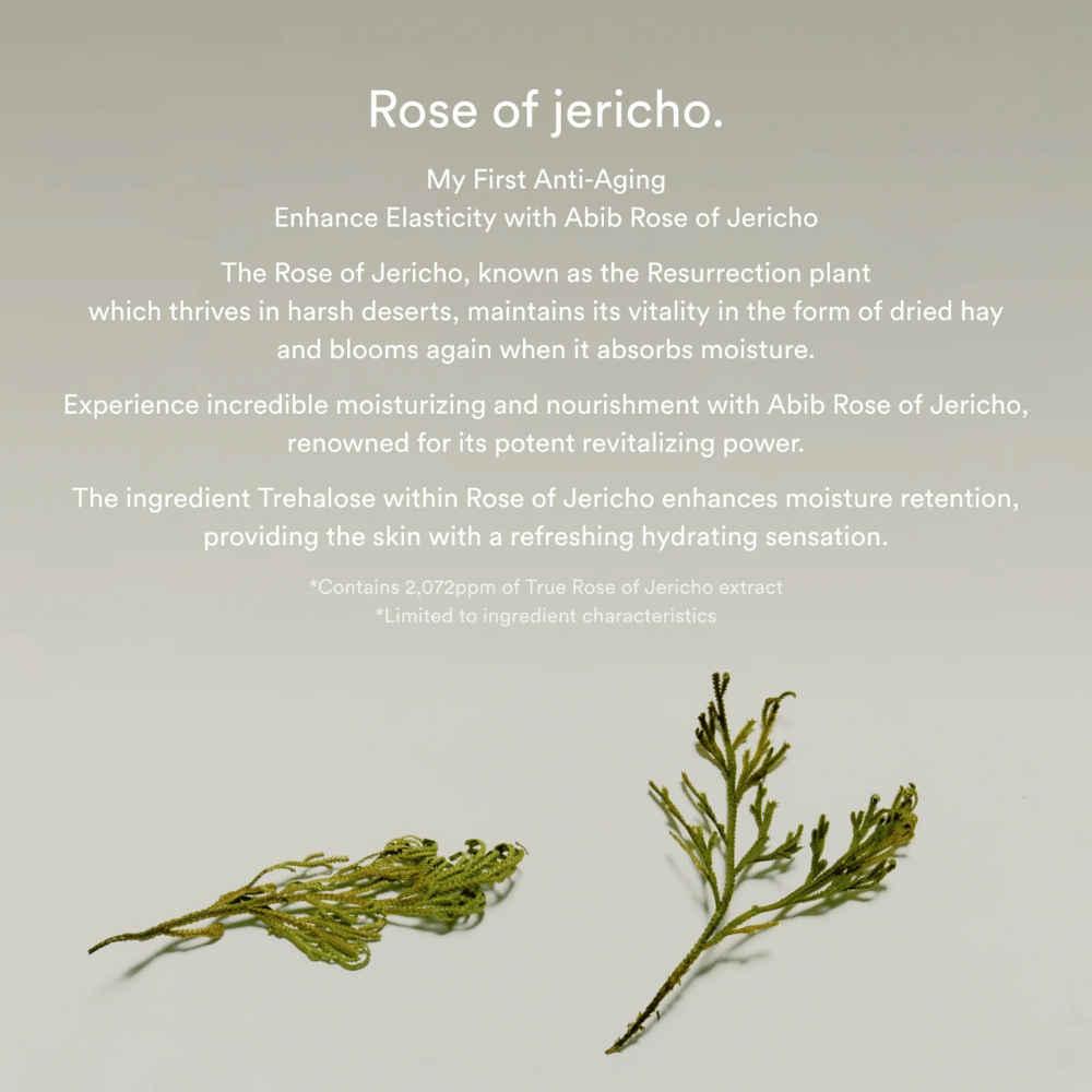 Informationsbillede om Rose of Jericho-ekstrakt, som beskriver plantens fugtgivende og revitaliserende egenskaber for huden.
