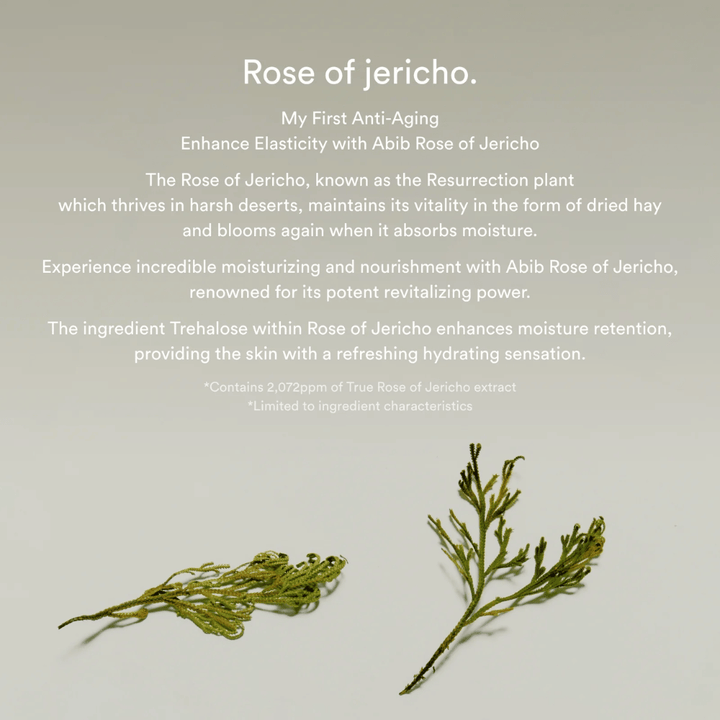 Informationsbillede om Rose of Jericho-ekstrakt, som beskriver plantens fugtgivende og revitaliserende egenskaber for huden.