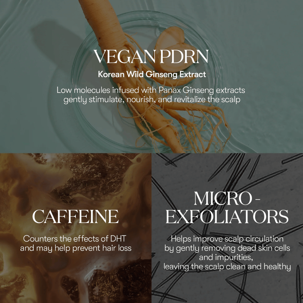 Illustration af aktive ingredienser i PDRN Reedle Shot Hair Ampoule 100dL med vegansk PDRN fra koreansk vild ginseng, koffein og mikro-exfoliatorer, der plejer og revitaliserer hovedbunden.