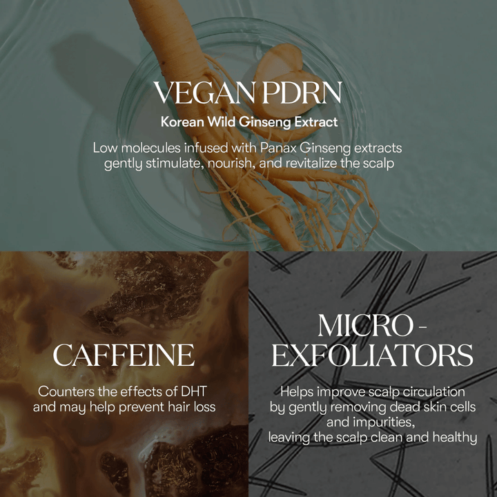 Illustration af aktive ingredienser i PDRN Reedle Shot Hair Ampoule 100dL med vegansk PDRN fra koreansk vild ginseng, koffein og mikro-exfoliatorer, der plejer og revitaliserer hovedbunden.