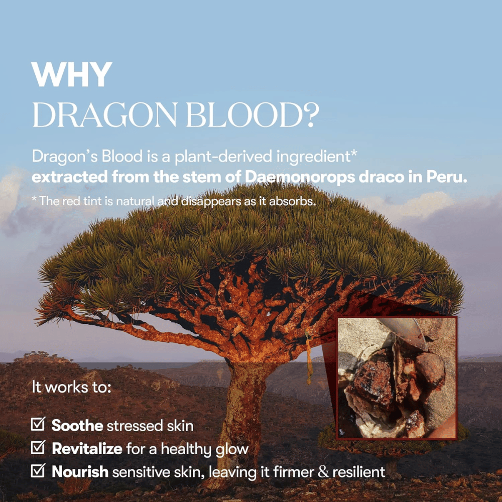 Illustration af Dragon's Blood-træet (Daemonorops draco) i Peru, ingrediens i VT Red Booster Reedle Shot 100 som beroliger stresset hud, styrker hudbarrieren og giver en frisk glød.