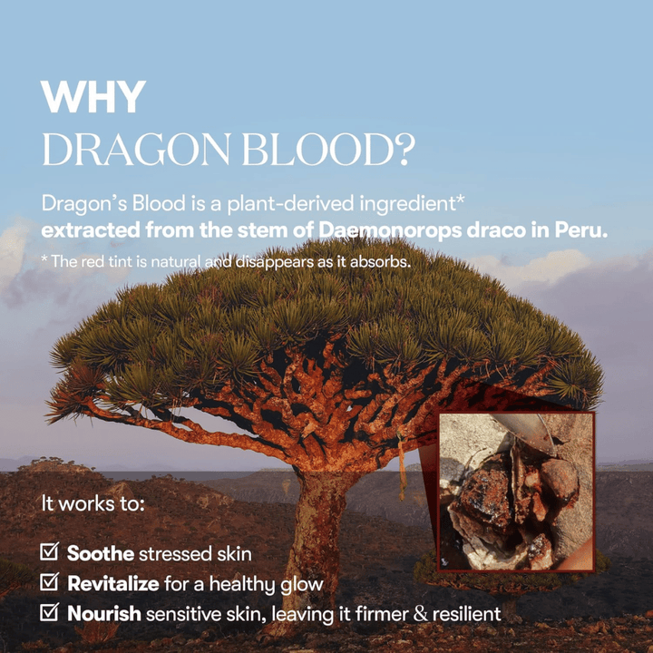 Illustration af Dragon's Blood-træet (Daemonorops draco) i Peru, ingrediens i VT Red Booster Reedle Shot 100 som beroliger stresset hud, styrker hudbarrieren og giver en frisk glød.