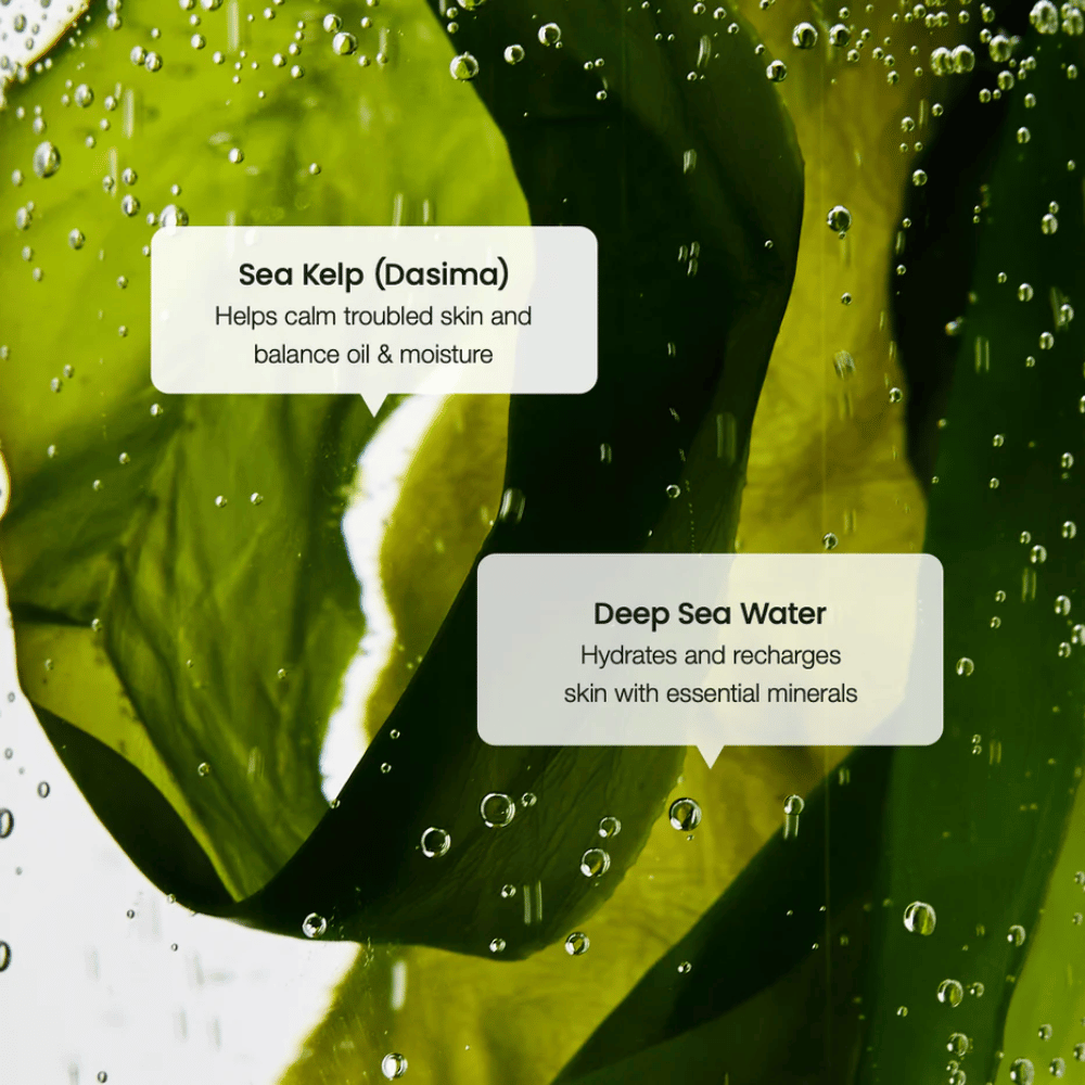 Tangekstrakt og dybhavsvand i Biodance Refreshing Sea Kelp Serum – fugter og balancerer huden.